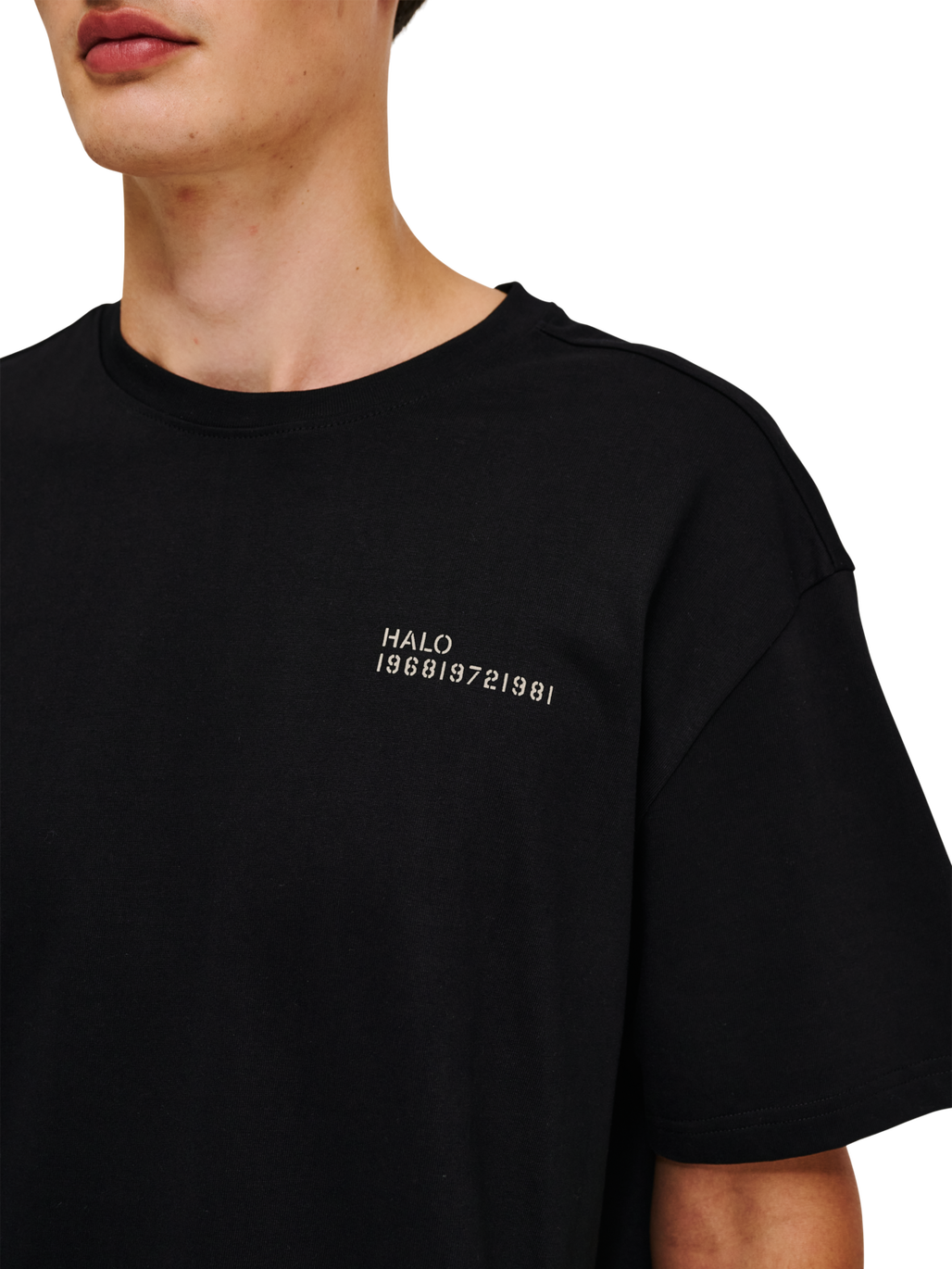 HALO GRAPHIC T-SHIRT, BLACK/SENECA ROCK/SR, model
