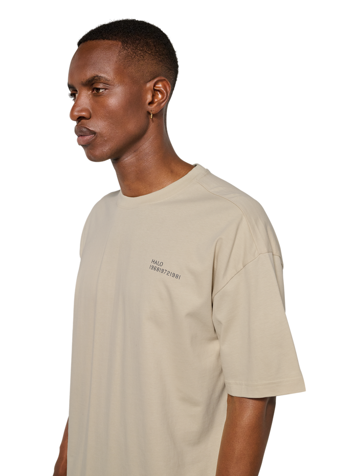HALO GRAPHIC BOXY T-SHIRT, OYSTER GRAY/ASPHALT, model