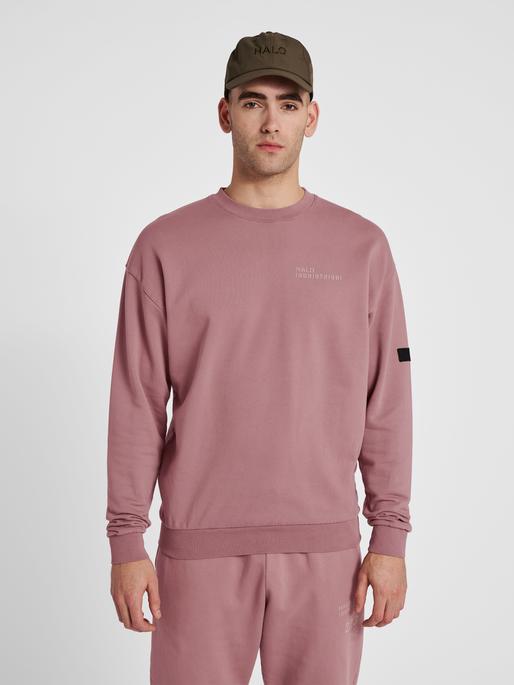 HALO COTTON CREW, TWILIGHT MAUVE, model