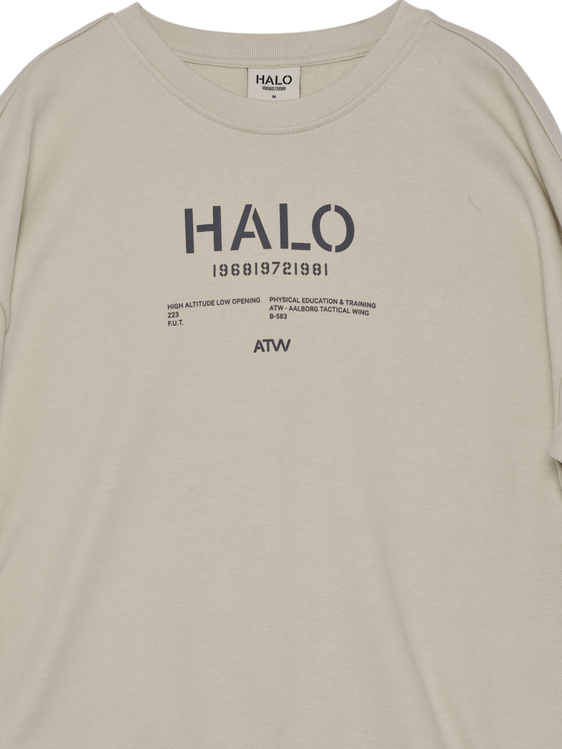 HALO GRAPHIC BOXY CREW, OYSTER GRAY, packshot