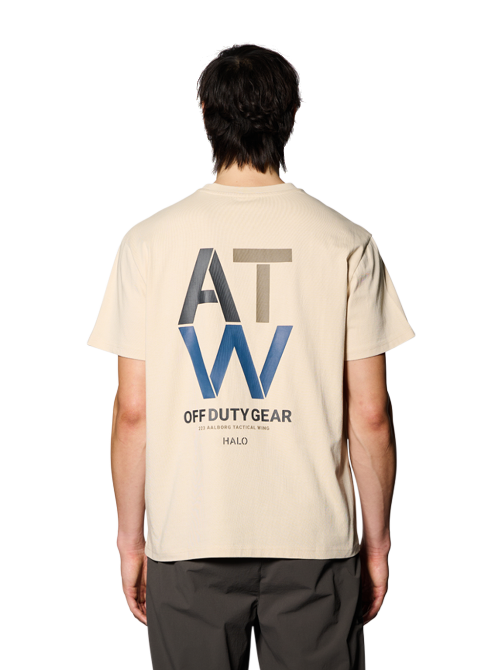 HALO DUTY T-SHIRT, OYSTER GRAY, model