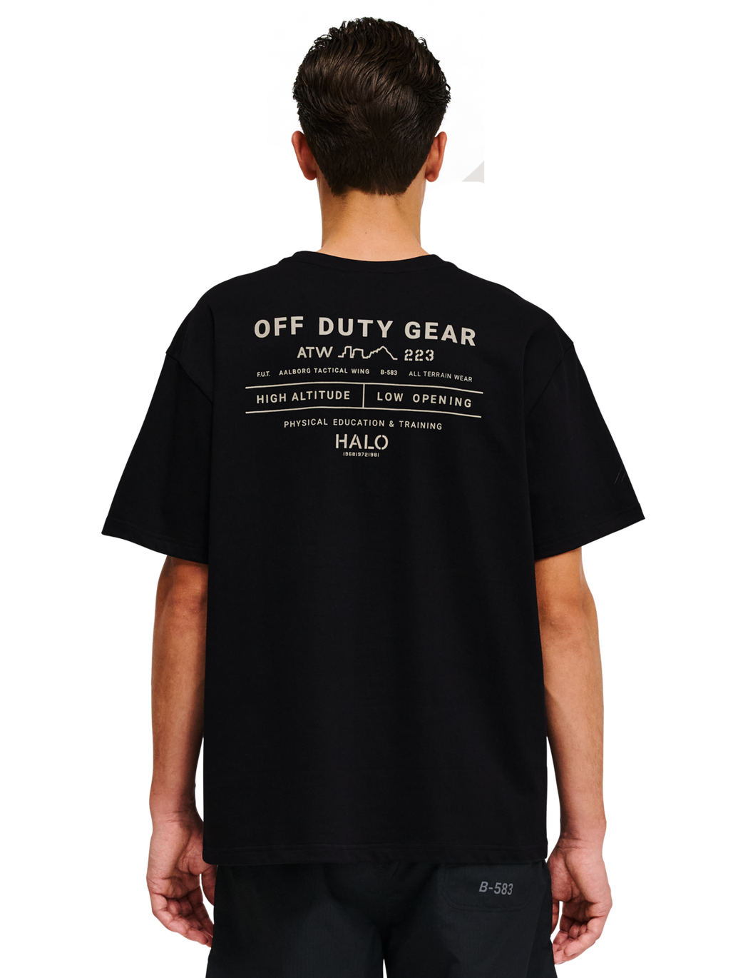 HALO GRAPHIC T-SHIRT, BLACK/SENECA ROCK/SR, model