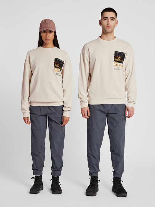 HALO GRAPHIC CREW, SILVER BIRCH, model