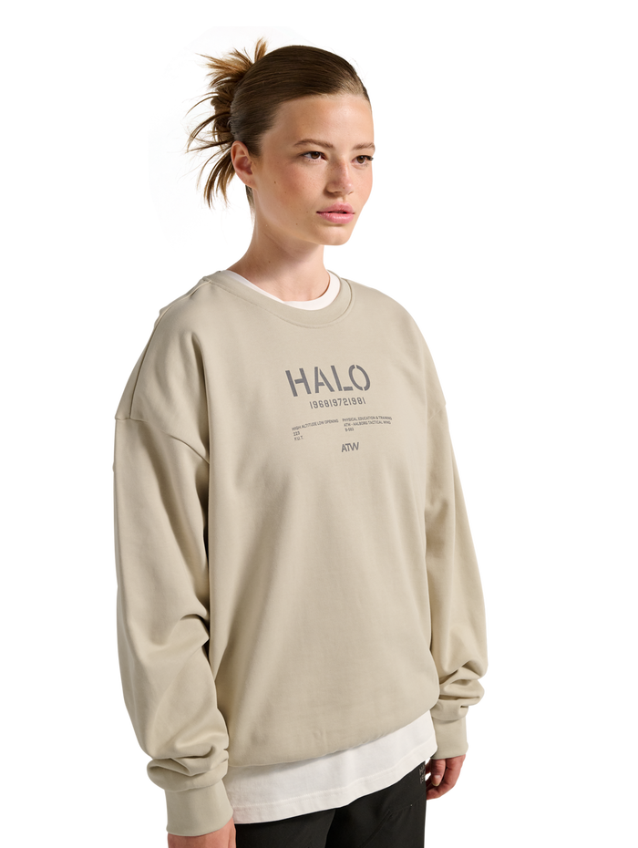 HALO GRAPHIC BOXY CREW, OYSTER GRAY, model