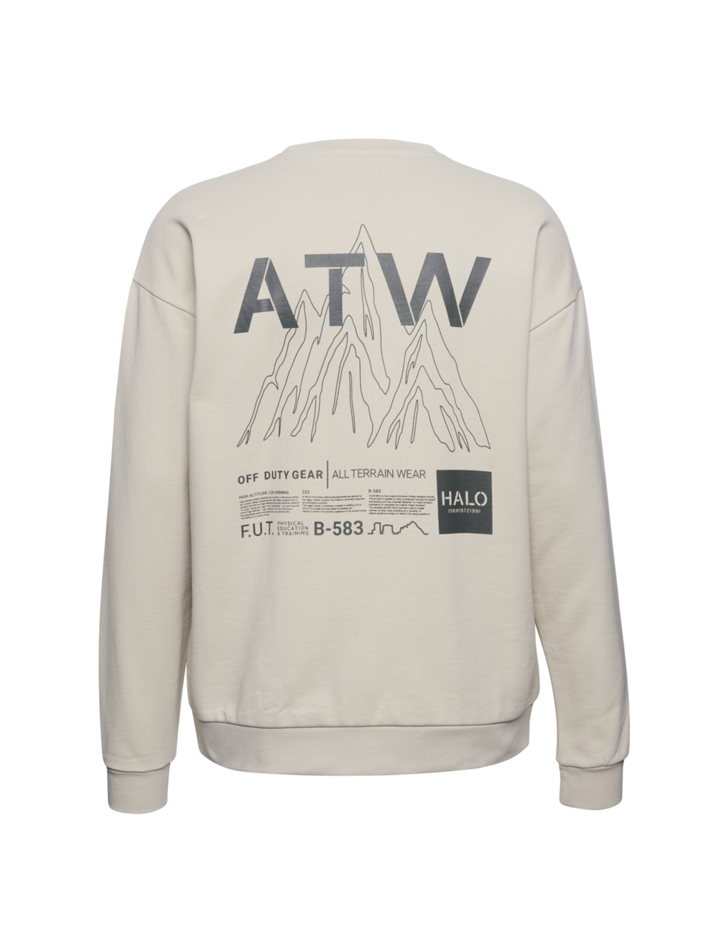 HALO GRAPHIC CREW 02, SILVER LINING, packshot