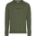 OLIVE NIGHT